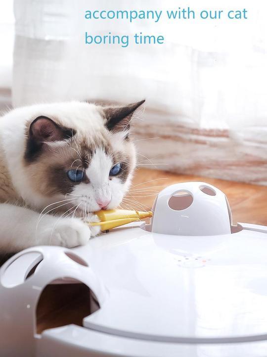 Fully Automatic Kitty Fun Toy