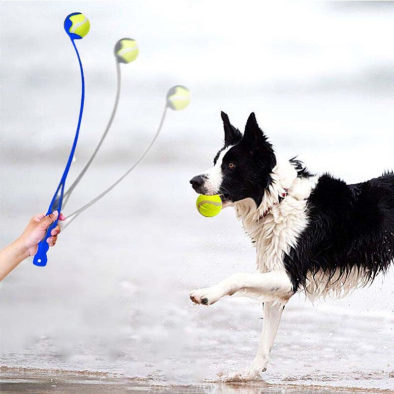 Pet Tossing Cue and Dog Training Ball Tossing Ball Launcher Dog Training Thrower Outdoor Funny Training Pet