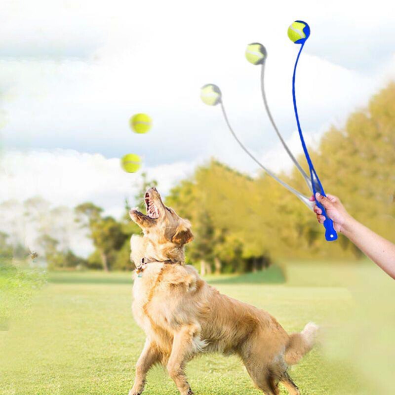 Pet Tossing Cue and Dog Training Ball Tossing Ball Launcher Dog Training Thrower Outdoor Funny Training Pet